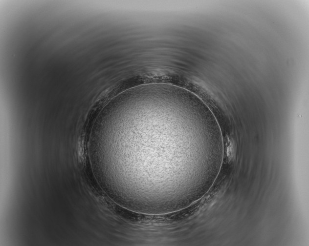 X0000095900819200801181244