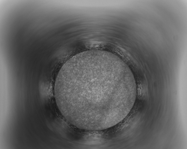 X0000095900820200801181244