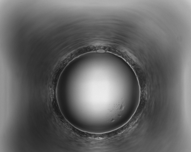 X0000095900821200801181244