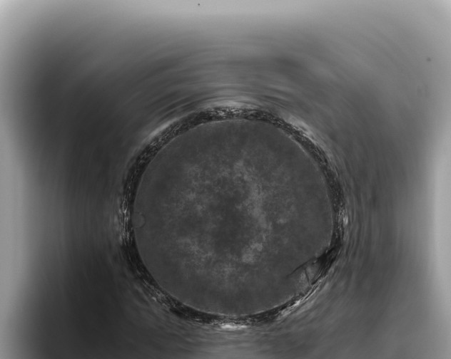 X0000095900822200801181244