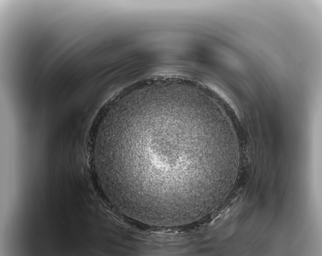 X0000095900823200801181244