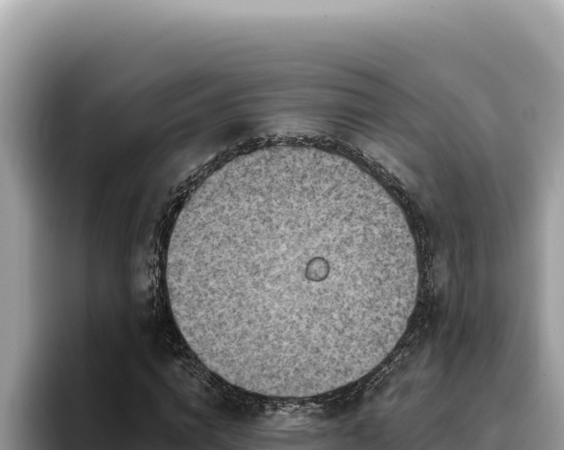 X0000095900824200801181244