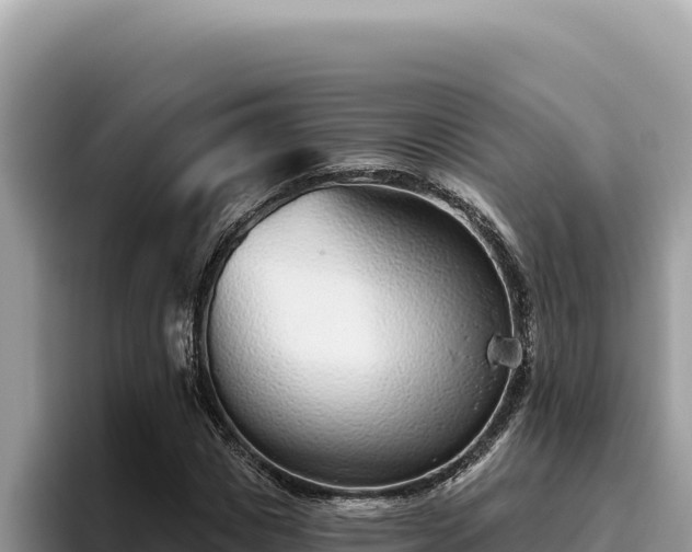 X0000095900825200801181244