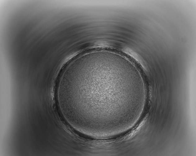 X0000095900826200801181244