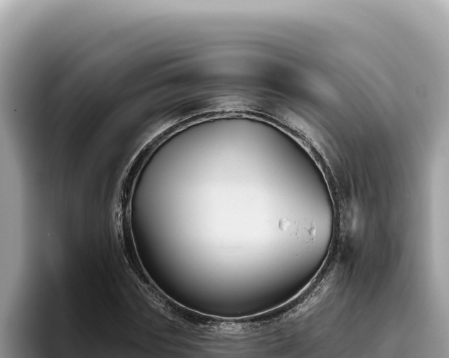 X0000095900827200801181244