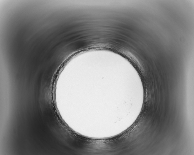 X0000095900828200801181244