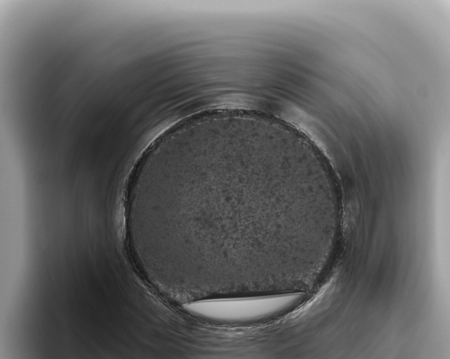 X0000095900829200801181244