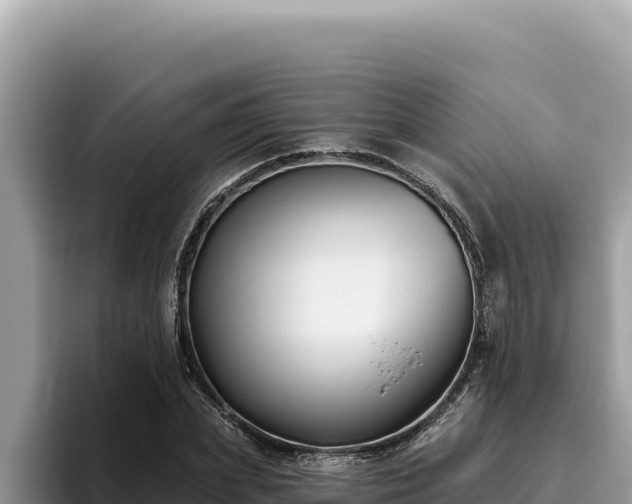 X0000095900831200801181244