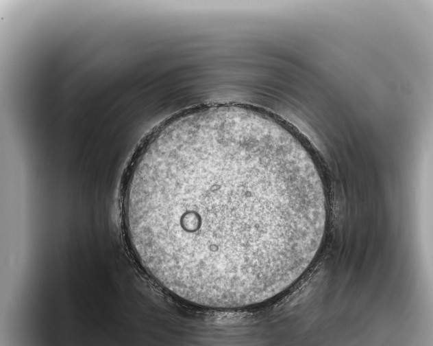 X0000095900832200801181244