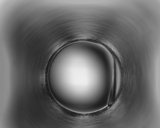 X0000095900834200801181244