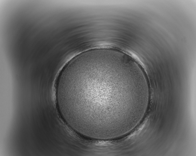 X0000095900835200801181244