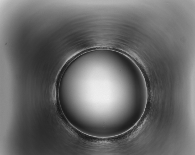 X0000095900838200801181244