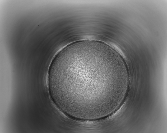 X0000095900839200801181244