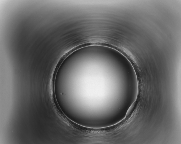 X0000095900840200801181244