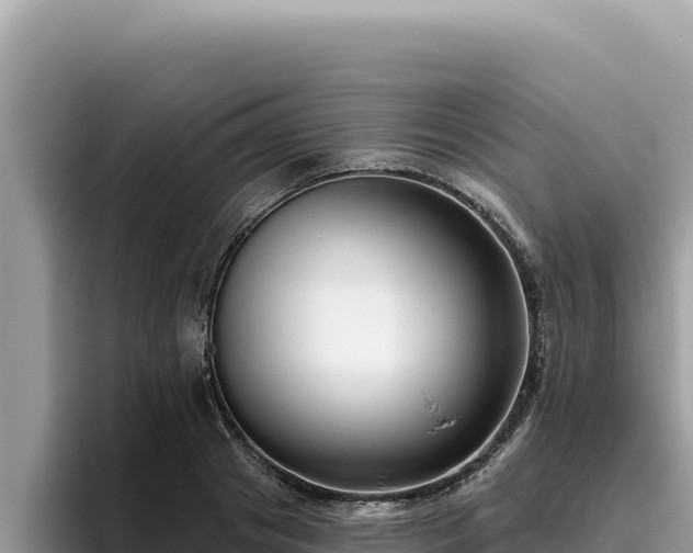 X0000095900841200801181244