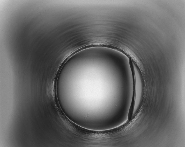 X0000095900842200801181244