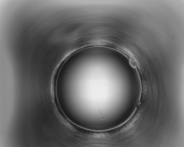 X0000095900843200801181244