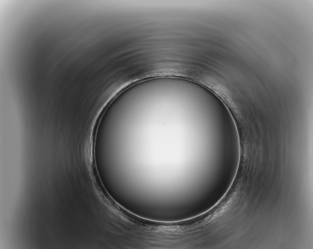 X0000095900844200801181244