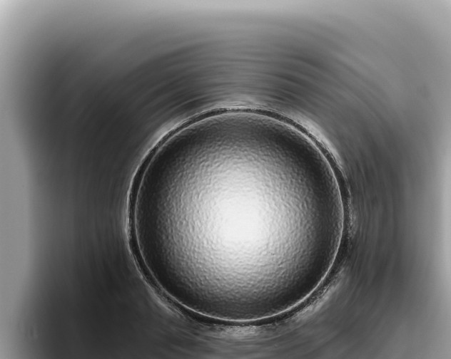 X0000095900845200801181244