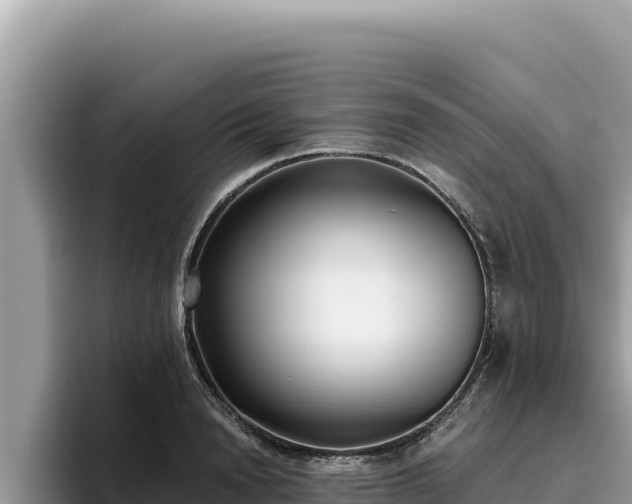 X0000095900846200801181244