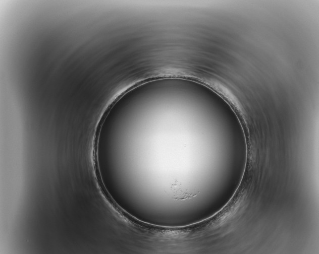 X0000095900847200801181244