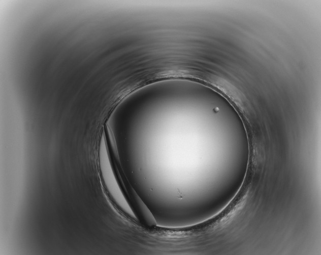 X0000095900849200801181244