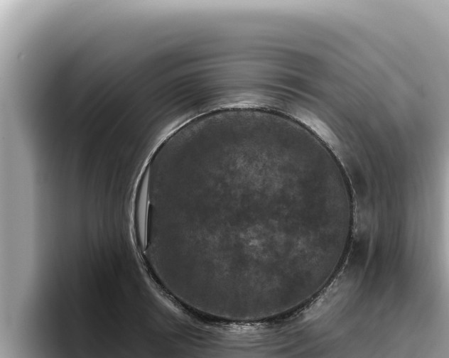 X0000095900850200801181244