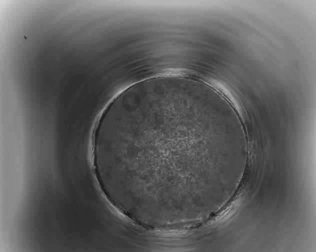 X0000095900851200801181244