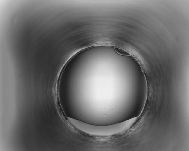 X0000095900852200801181244