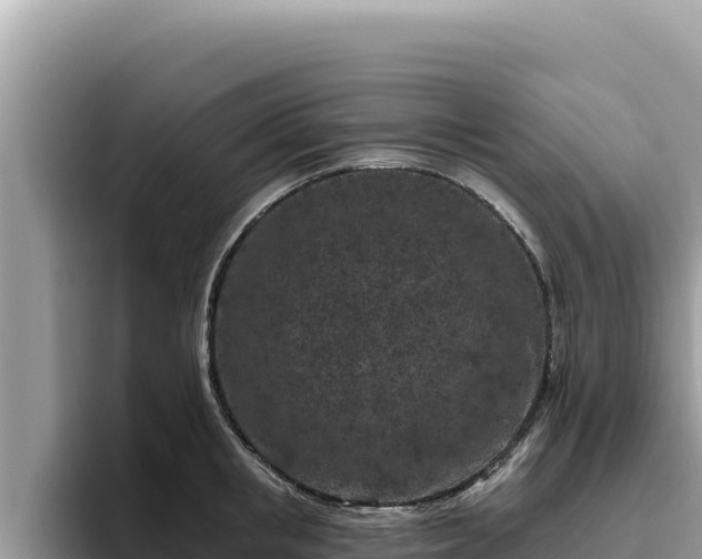 X0000095900853200801181244