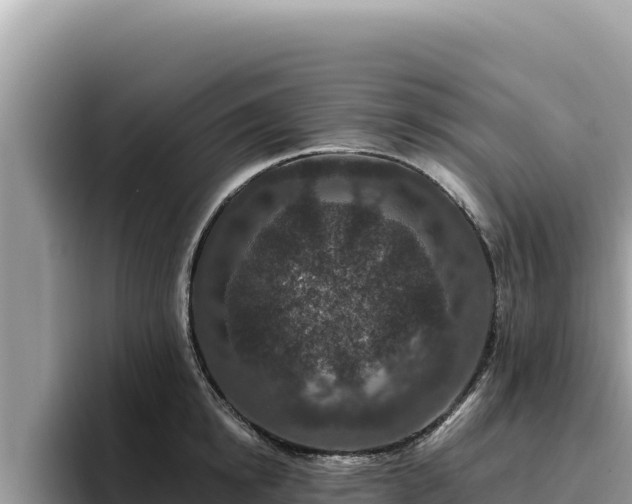 X0000095900854200801181244