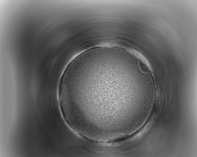 X0000095900855200801181244