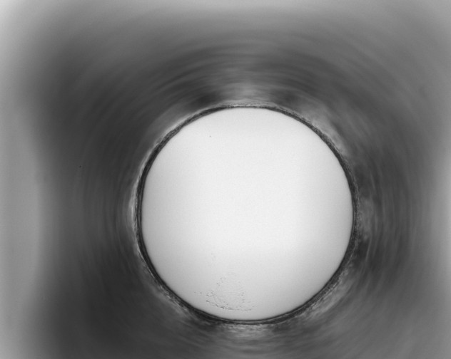 X0000095900856200801181244