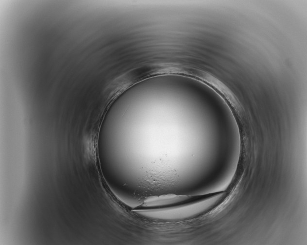 X0000095900857200801181244