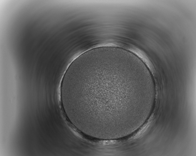 X0000095900858200801181244