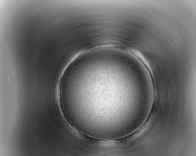 X0000095900859200801181244