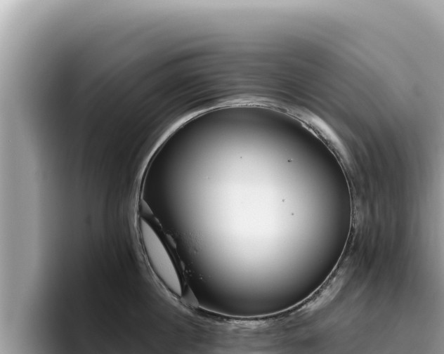 X0000095900860200801181244