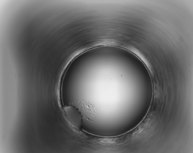 X0000095900861200801181244