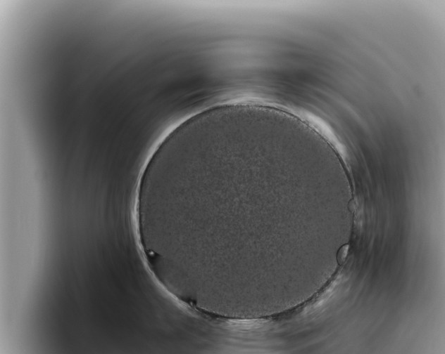 X0000095900863200801181244