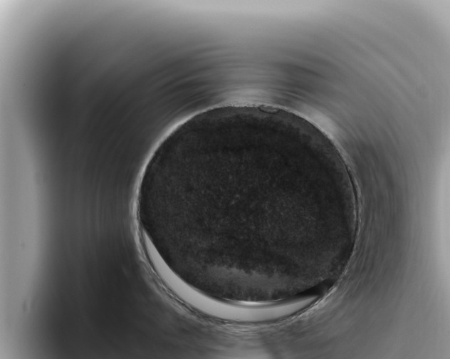 X0000095900864200801181244