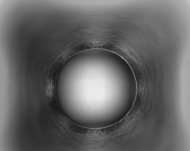 X0000095900866200801181244