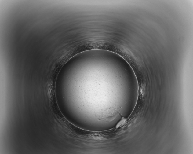 X0000095900867200801181244