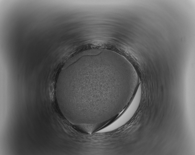 X0000095900868200801181244