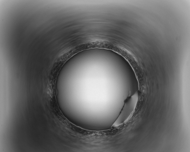 X0000095900869200801181244