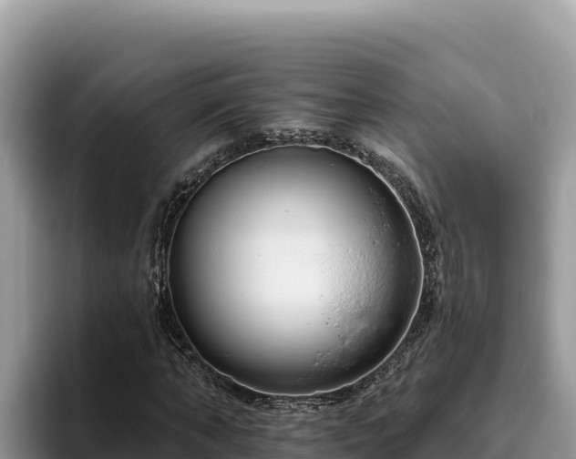 X0000095900870200801181244