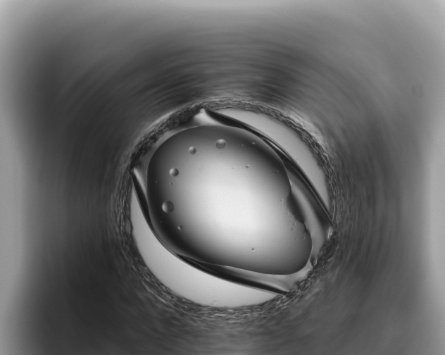 X0000095900872200801181244