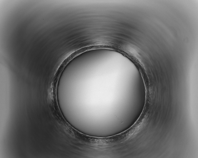 X0000095900875200801181244