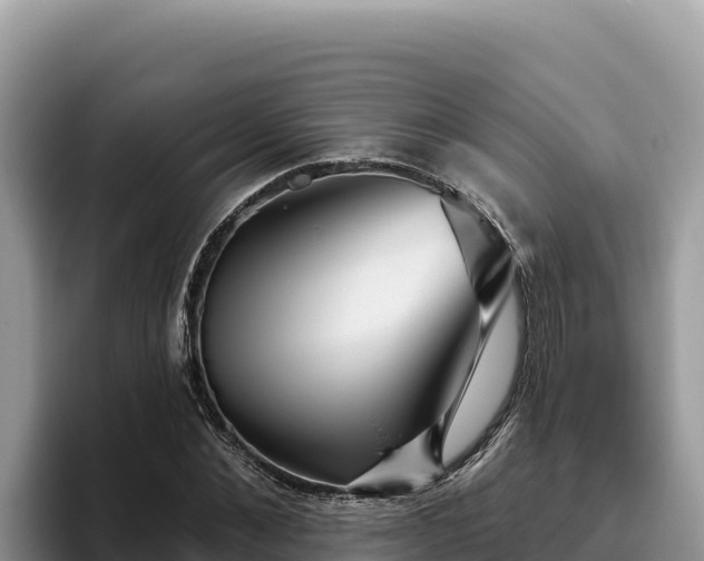 X0000095900876200801181244