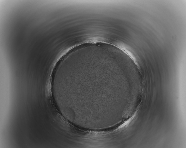 X0000095900877200801181244