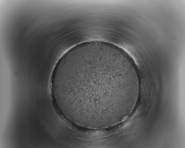 X0000095900879200801181244